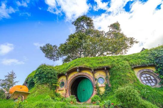 Hobbiton™ Movie Set Tours