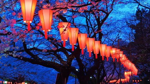 Ueno Park