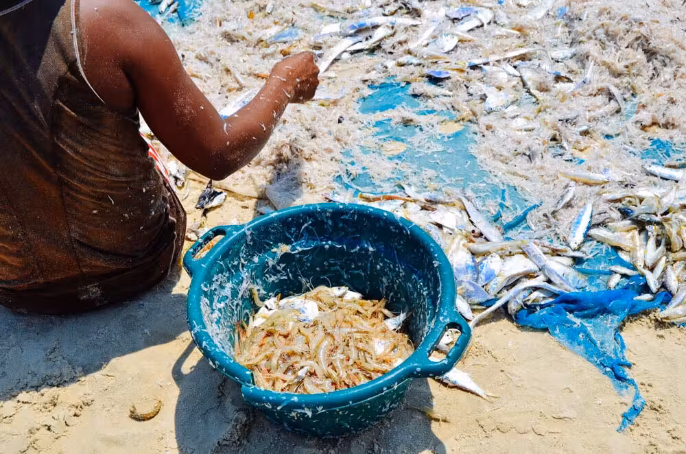 Passagem ${{cityDName}} Tulear