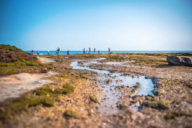 Beachcombing in Beihai