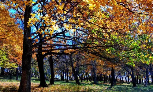 Pingshan Shenlu Tourist Area