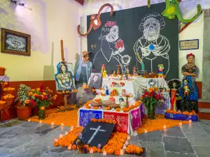 Diego Rivera's House Museum