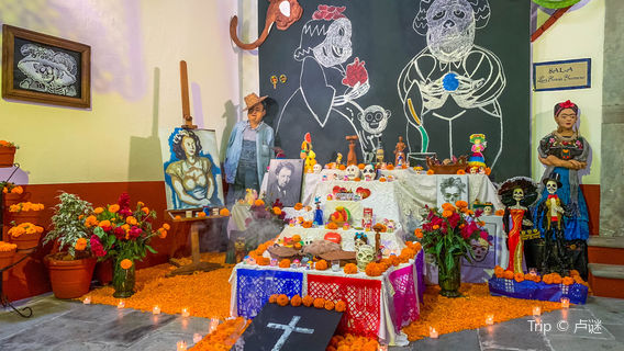 Diego Rivera's House Museum