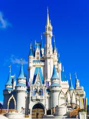 Magic Kingdom Park