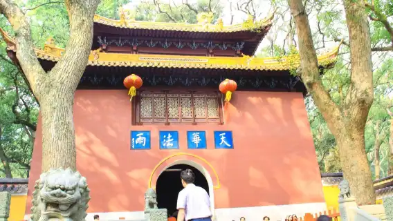 舟山朱家尖風景區包車一日遊