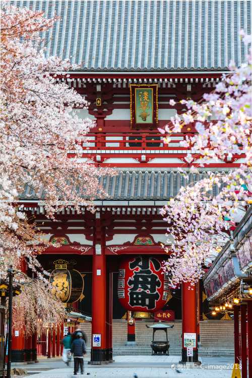 日本+東京+六本木+隅田川+歌舞伎町一日遊