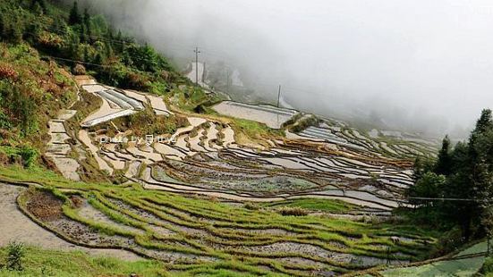 云山村，山中云雾缭绕，隐约可见梯田。真有点云深不知处的感觉。