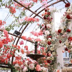 The Potting Shed at The Grounds User Photo