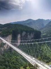 Glasbrücke Zhangjiajie