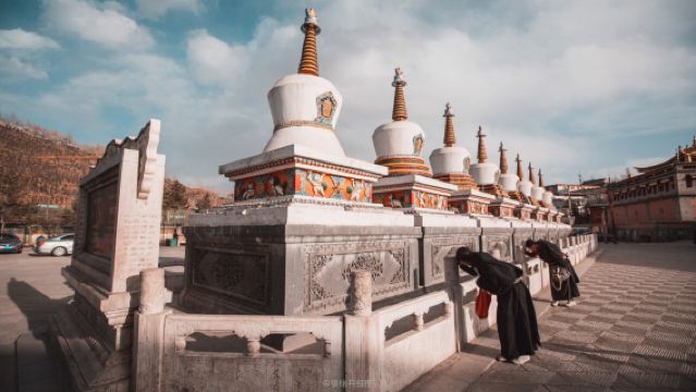 青海西寧+塔爾寺半日遊【精品小團/市區免費接/純玩無購物】