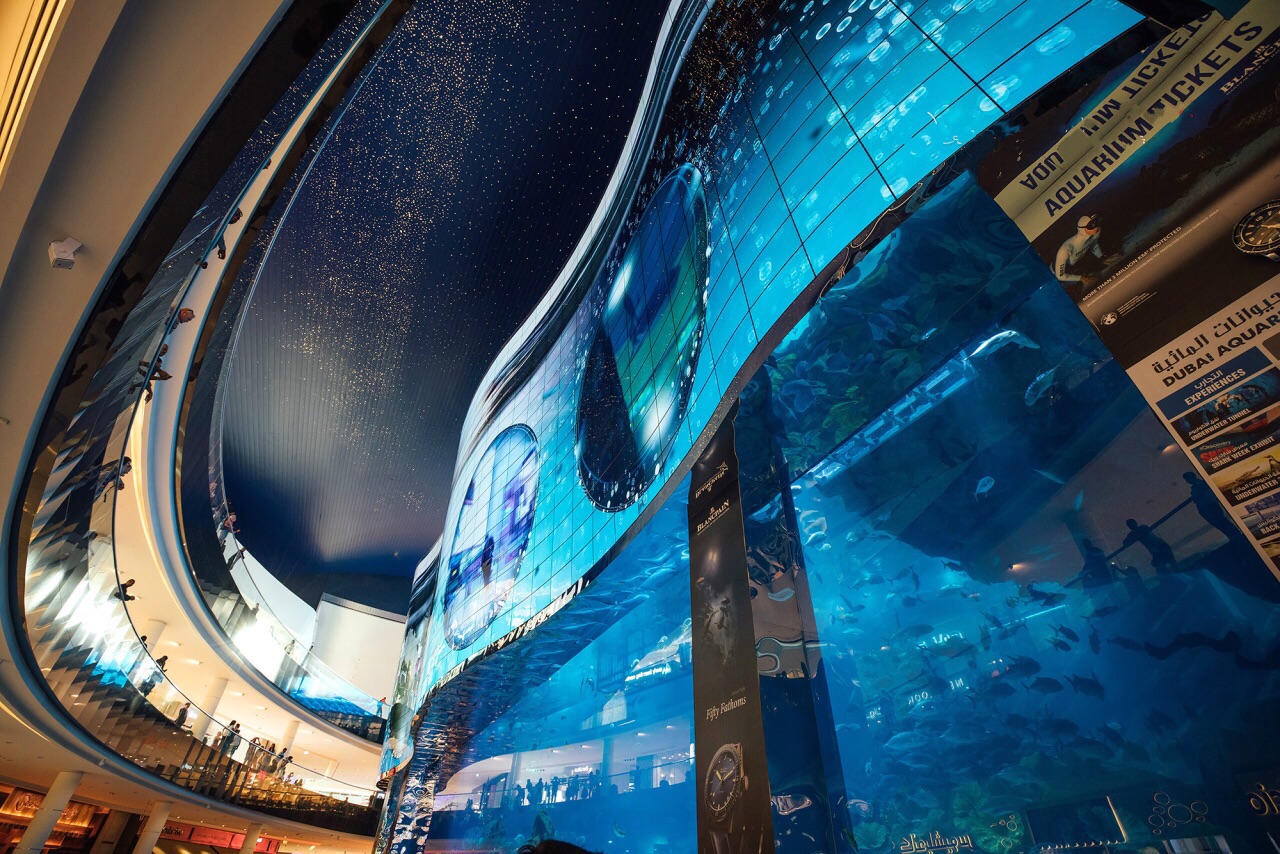 dubai mall aquarium tunnel