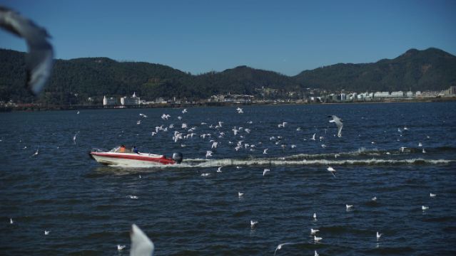 【周辺観光】昆明旧市街+篆新農貿市場+大観楼+滇池ワンデーツアー