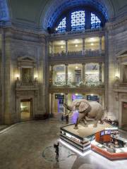 National Museum of Natural History