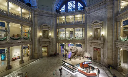 Smithsonian National Museum of Natural History