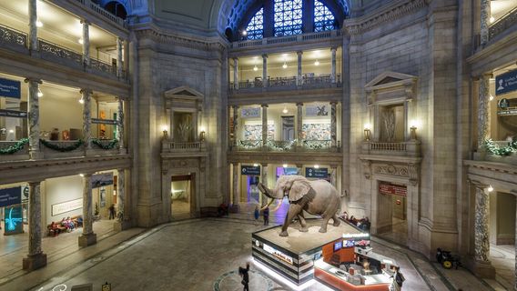 National Museum of Natural History