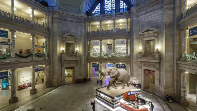 国立自然史博物館