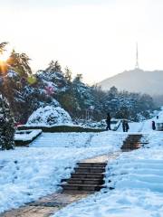 合肥蜀山烈士陵園