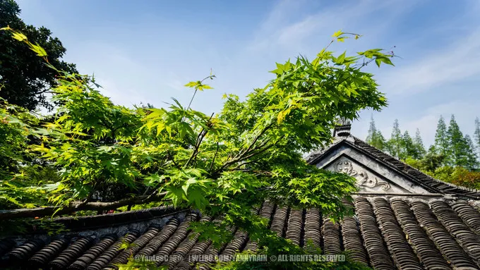 4_เป็นสวน