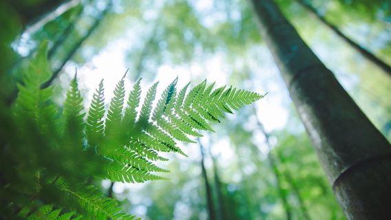 Suoluo National Nature Reserve