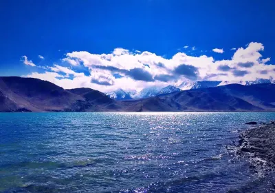 台付き】カシュガル タクラマカン砂漠 タシュクルガンの石