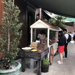 The Grounds of Alexandria User Photo