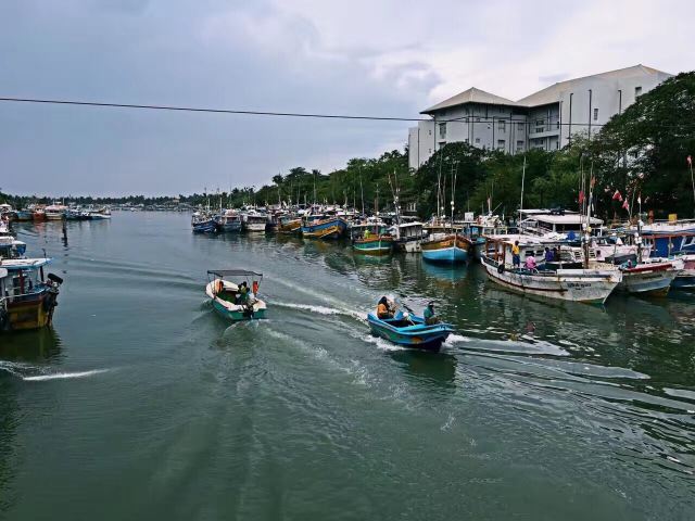 尼甘布瀉湖