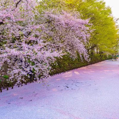 青森 米子 機票