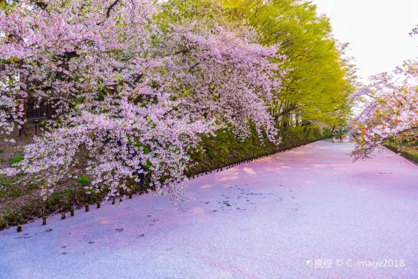 遊歩道緑地周辺のホテル