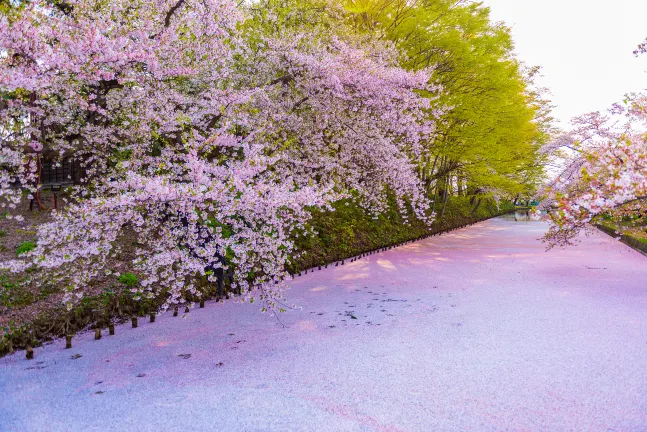 Hotel Sunroute Aomori