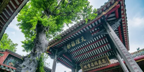 廣東佛山千燈湖公園+佛山祖廟+南風古灶一日遊【獨立包車+上門接送】