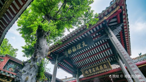 廣東佛山千燈湖公園+佛山祖廟+南風古灶一日遊【獨立包車+到府接駁】