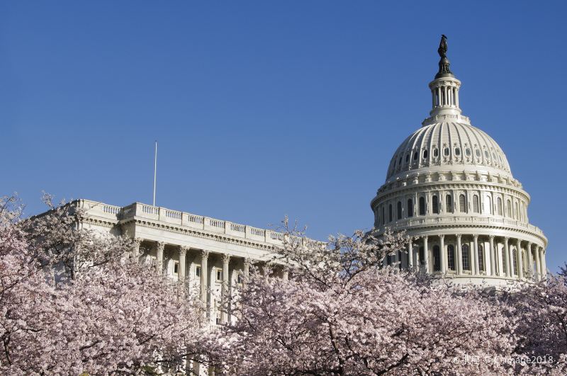 アメリカ合衆国議会議事堂