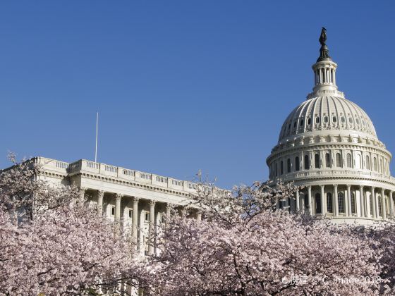 アメリカ合衆国議会議事堂