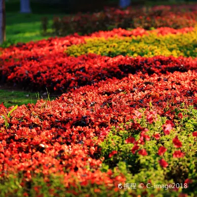 Отели рядом с достопримечательностью «Ten Mile Rhododendron Corridor»