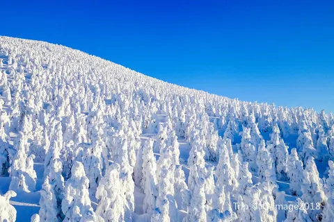 Zao Onsen
