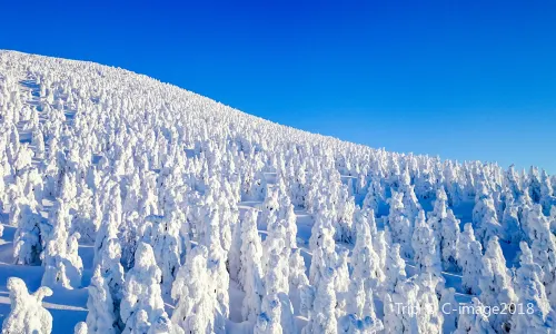 Zao Onsen