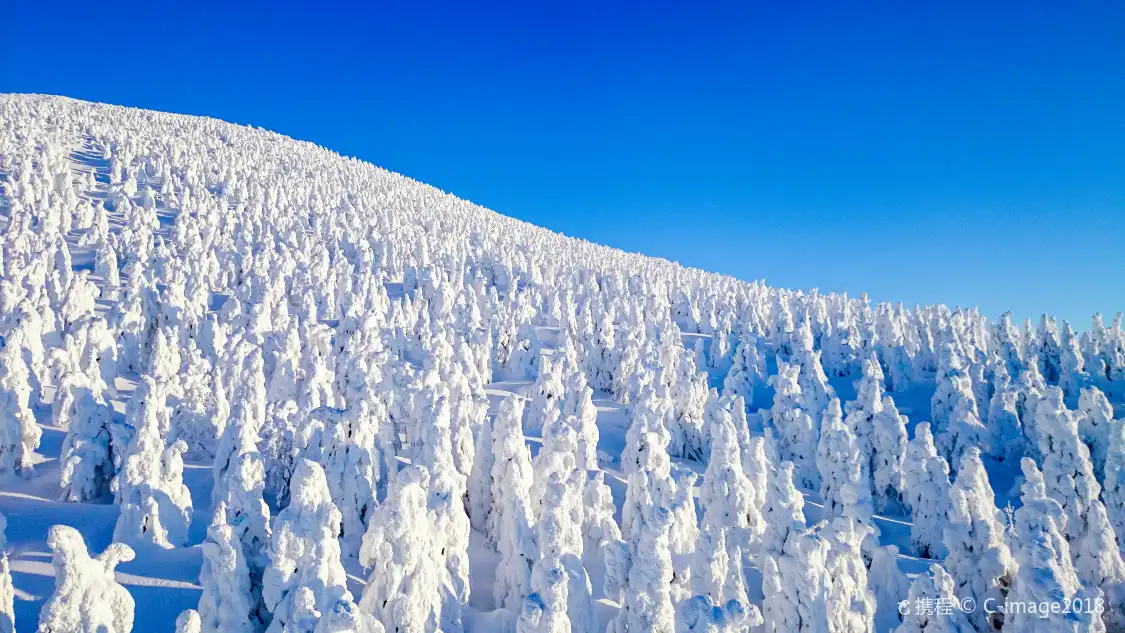 Hotels near Zao Onsen