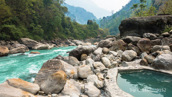 Jinfang Forest Spa Resort & Hotel