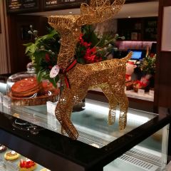 LE COMPTOIR DE PIERRE GAGNAIRE User Photo
