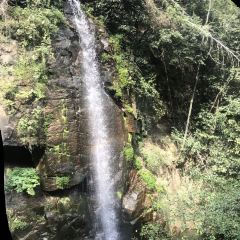 西天目林海农庄 User Photo