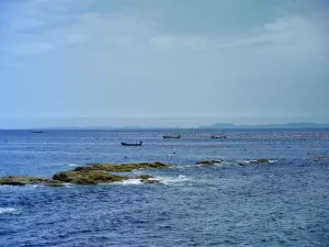 장자도