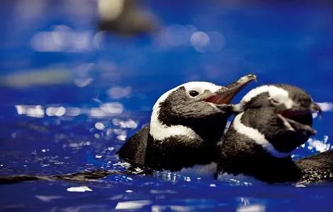 3_すみだ水族館