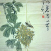 https://ak-d.tripcdn.com/images/100w11000000rm9cs887A.jpg
