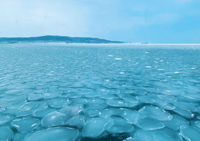 網走流冰觀光破冰船極光號