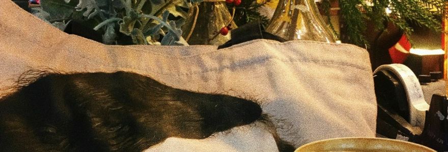 Everyday by Karmakamet