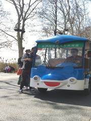 East Lake Greenway Sightseeing Bus