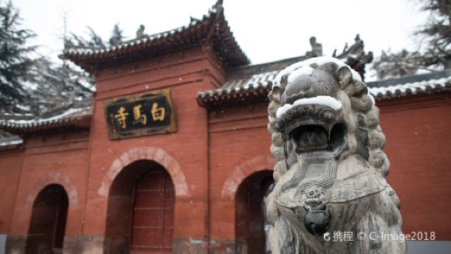 Luoyang Private Guided Day Tour Longmen Grottoes White Horse Temple Luoyang Museum