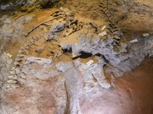 World Dinosaur Valley