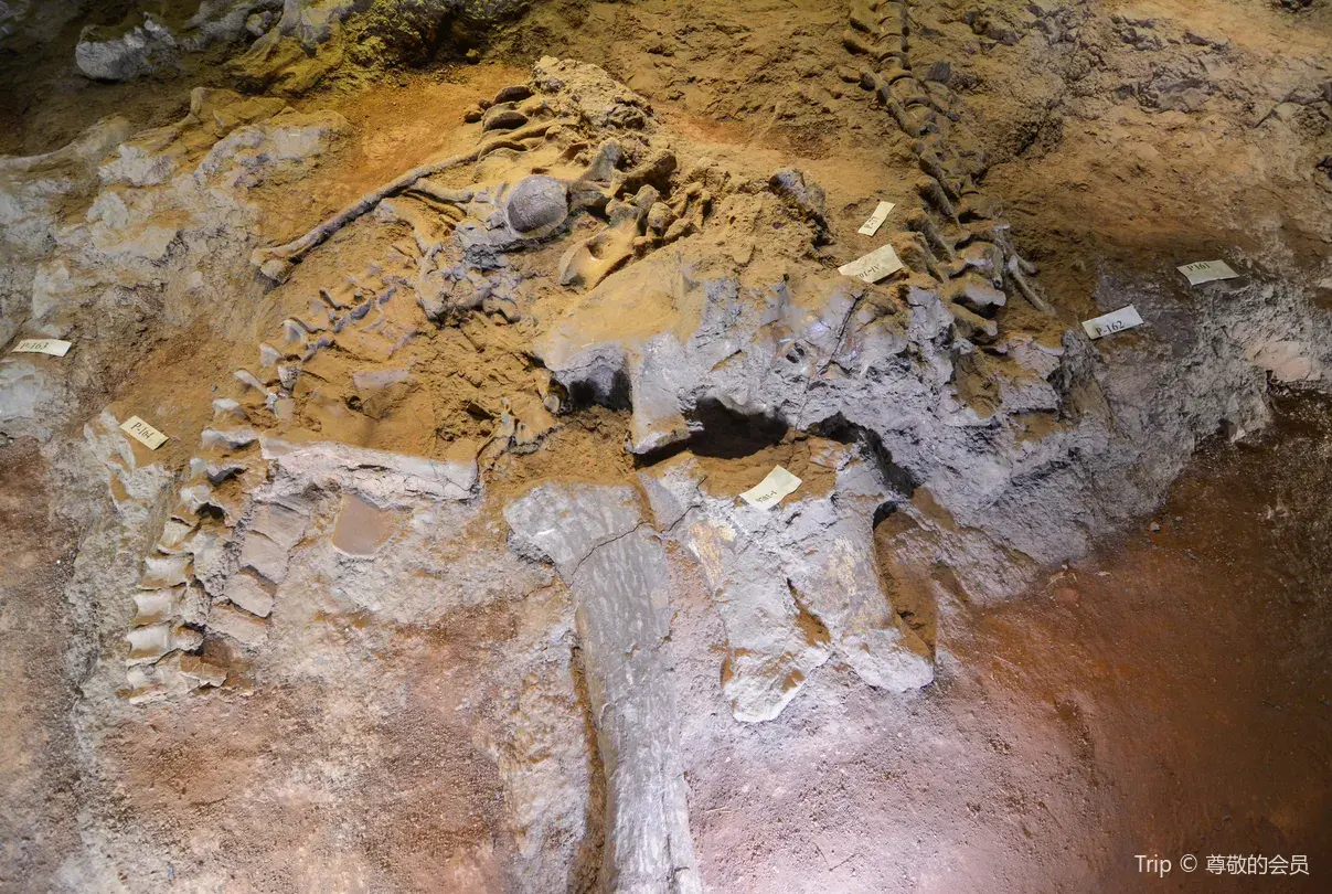 3_世界恐龍谷旅遊區