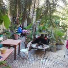 The Ruined Garden User Photo